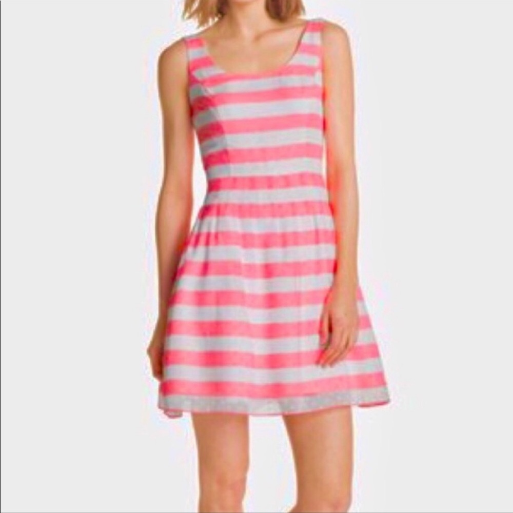 Lilly Pulitzer Joslin Fiesta Pink Ribbon Floral Stripe Dress Size 0